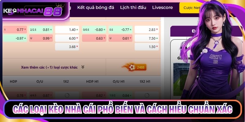 Các Loại Kèo Nhà Cái Phổ Biến Và Cách Hiểu Chuẩn Xác