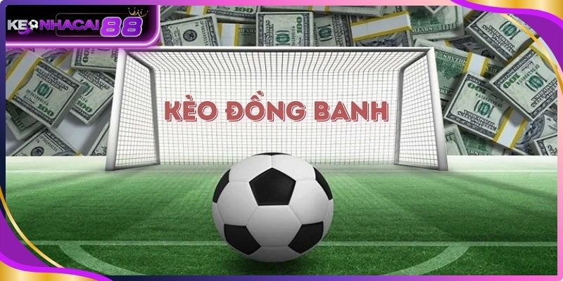 Khám phá kèo đồng banh chuẩn xác từng chi tiết