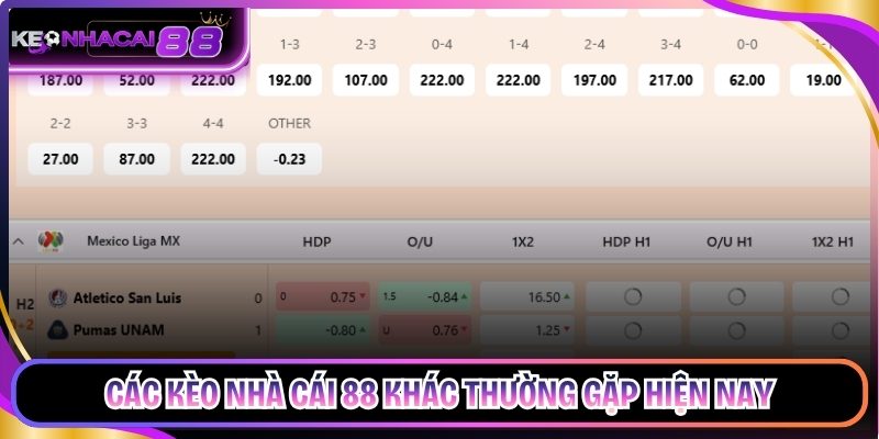 Các kèo nhà cái 88 khác thường gặp hiện nay