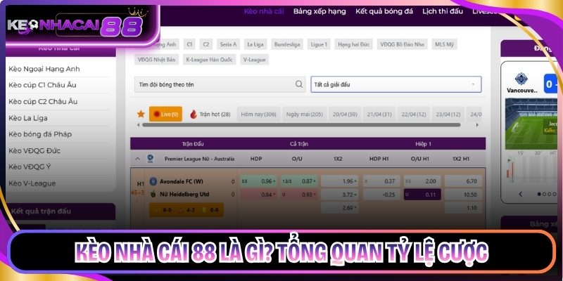 Kèo nhà cái 88 là gì? Tổng quan tỷ lệ cược